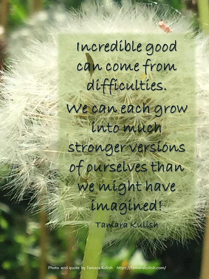 Incredible good can come from difficulties Photograph by Tamara Kulish