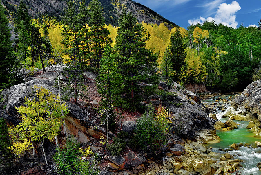 Indepedence Pass fall colors Photograph by Richard Norman | Fine Art ...