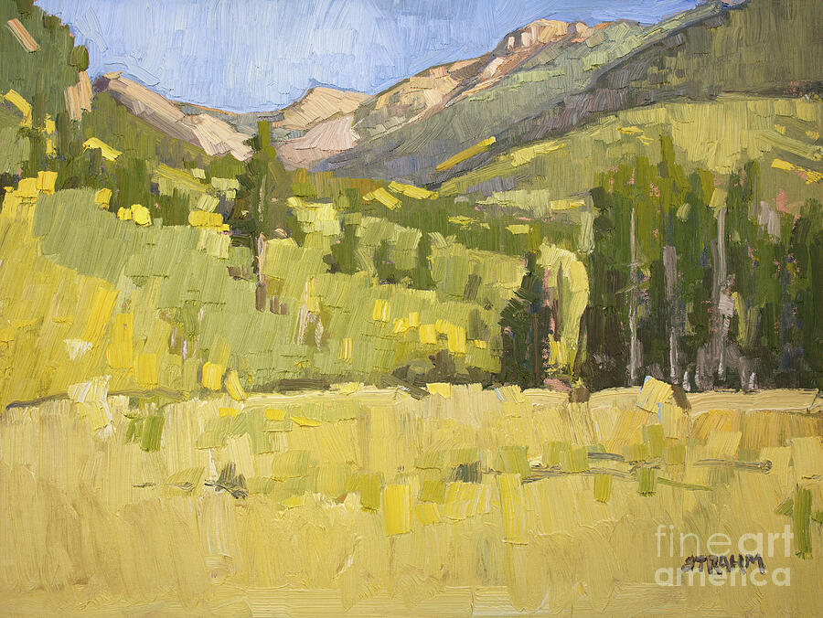 Independence Pass - Aspen, Colorado Painting by Paul Strahm