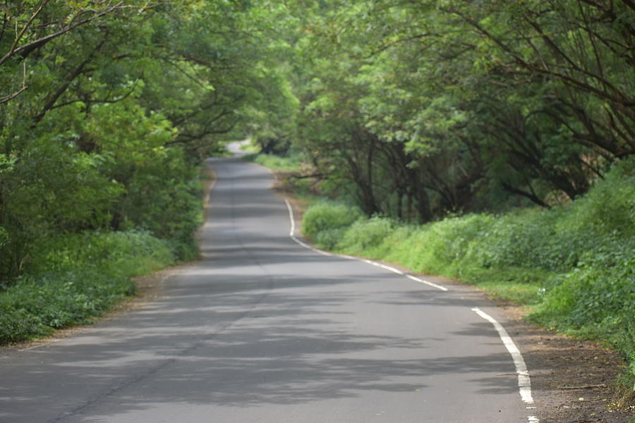 India country side road covered by greenery Photograph by Nilesh Aphale