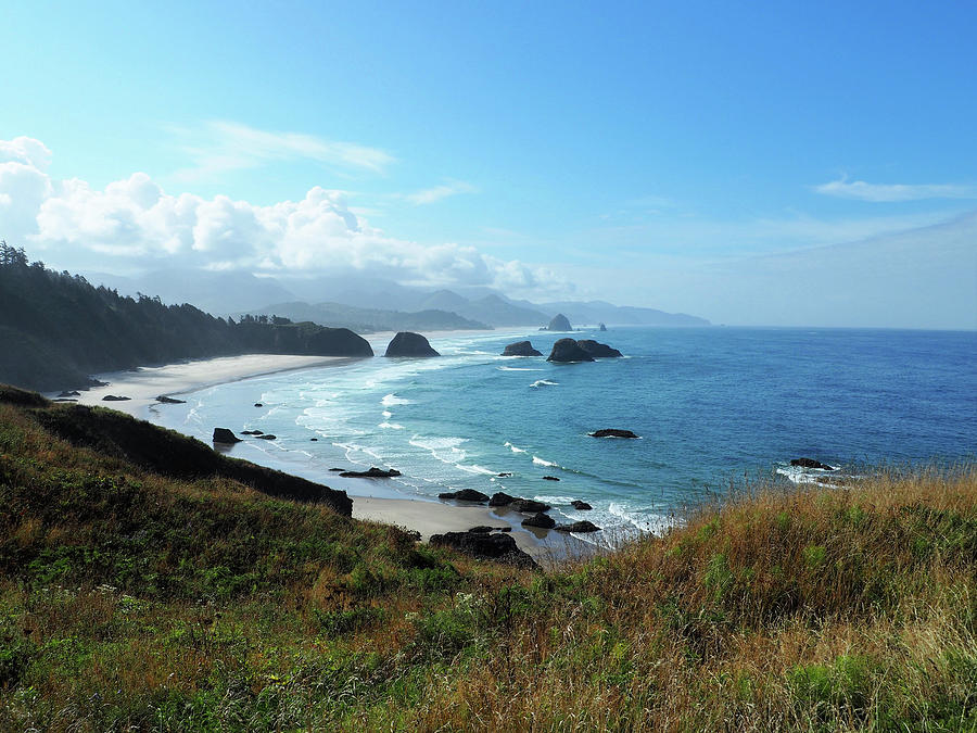 Indian Beach Oregon Photograph by Curtis Boggs | Fine Art America