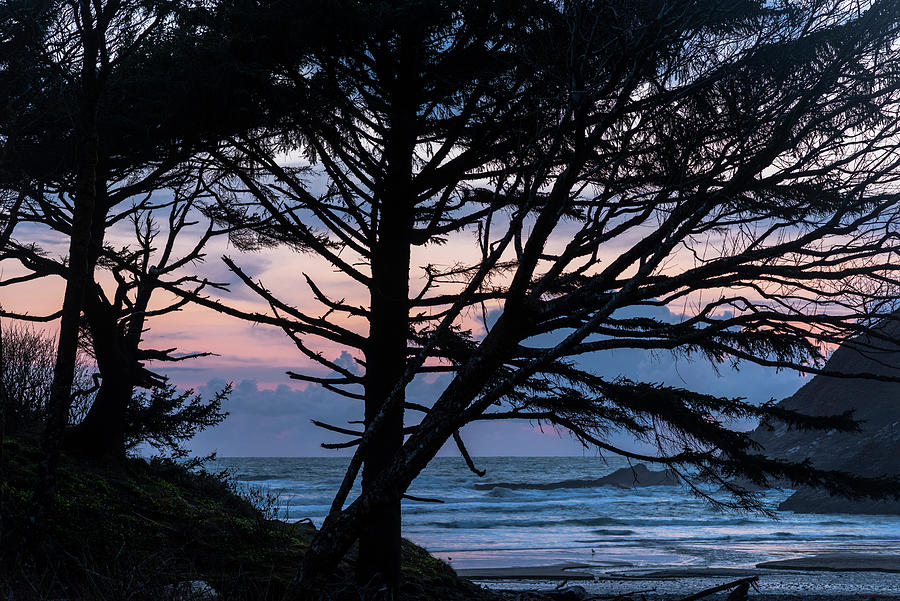 April Photograph - Indian Beach Silhouettes by Robert Potts
