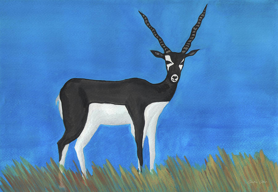 Black buck of picture The Scourged