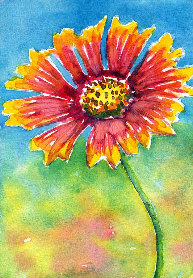 Indian Blanket Flower Painting by Carlin Blahnik CarlinArtWatercolor