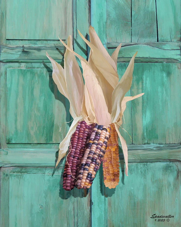 Indian Corn Door Swag Digital Art by Spadecaller - Fine Art America