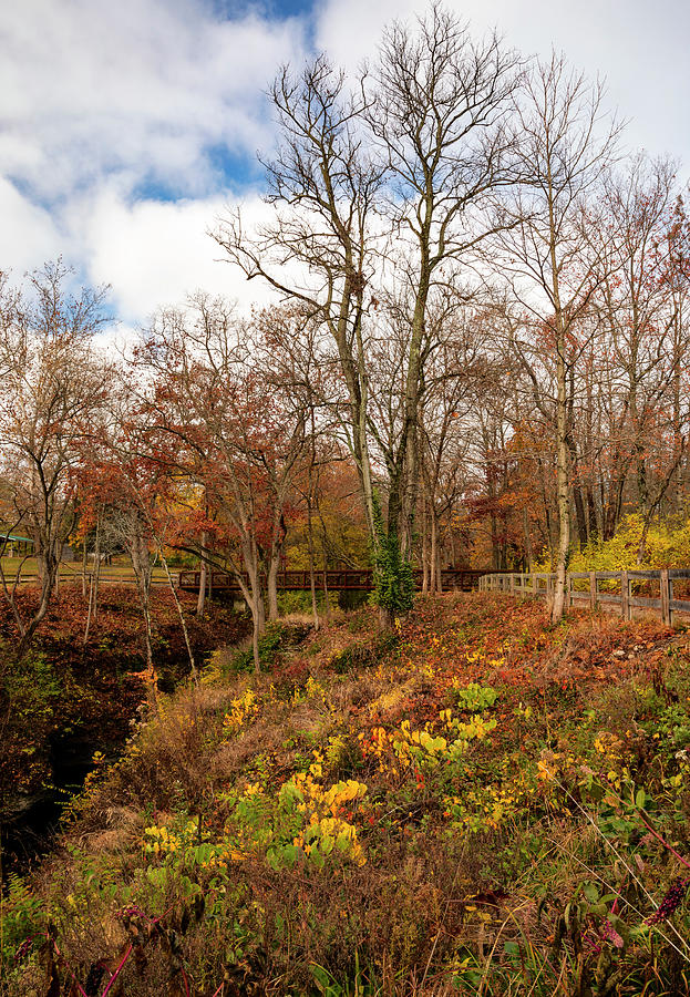 Indian Mound Reserve In Autumn Photograph by Dan Sproul