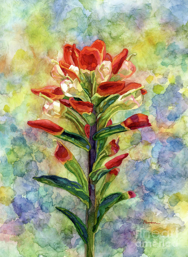 Indian Paintbrush 2 Painting