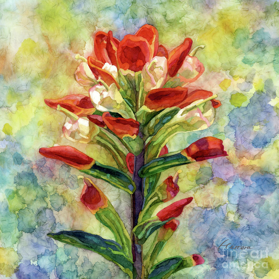 Indian Paintbrush 2 - In Bloom Painting