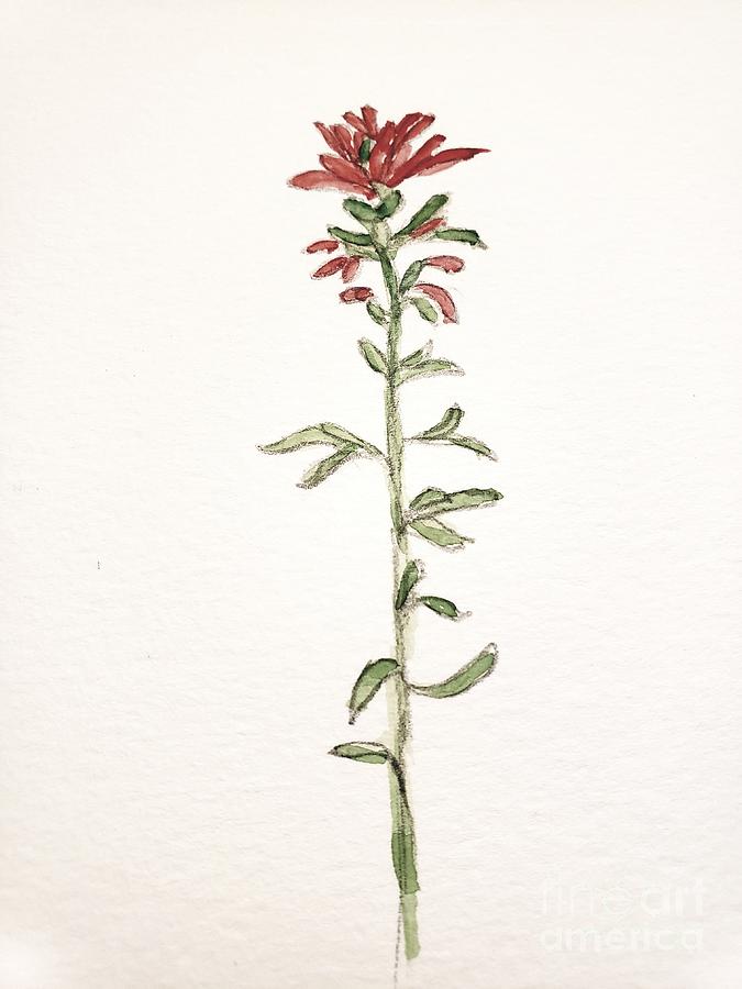 Indian Paintbrush Flower Painting by Margaret Welsh Willowsilk