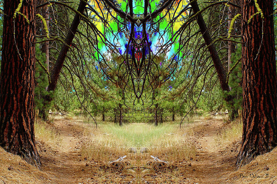 Indian Painted Pathway Photograph by Ben Upham III Indian Painted Pathway Photograph by Ben Upham III