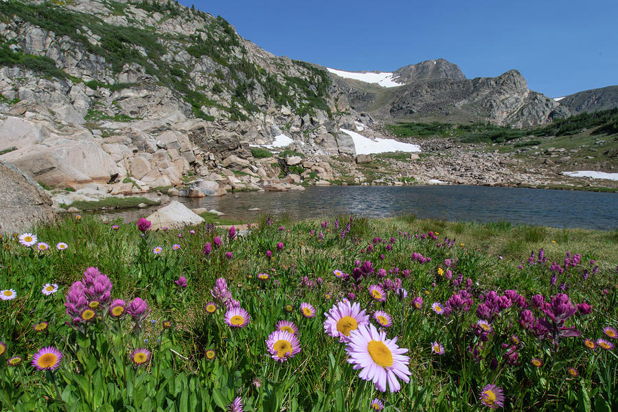 Indian Peaks Summer Lake Landscape Photograph by Cascade Colors