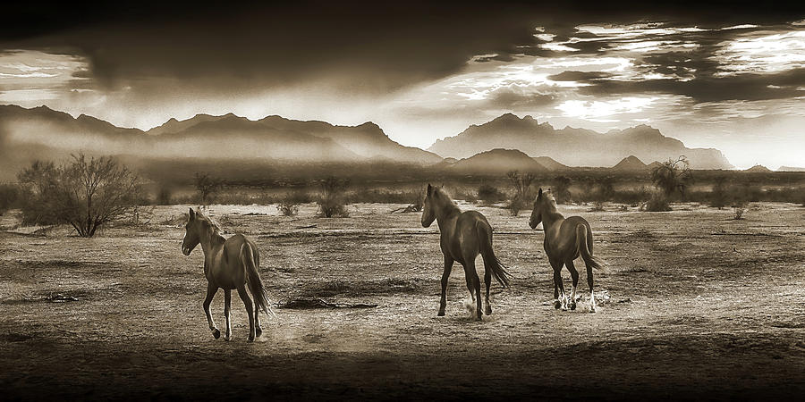 Indian Ponies Sepia Panorma, Superstitions Mountains, Arizona Photograph by Don Schimmel