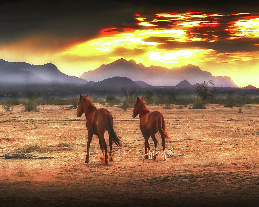 INDIAN PONIES, Superstition Mountains, Arizona Photograph by Don Schimmel