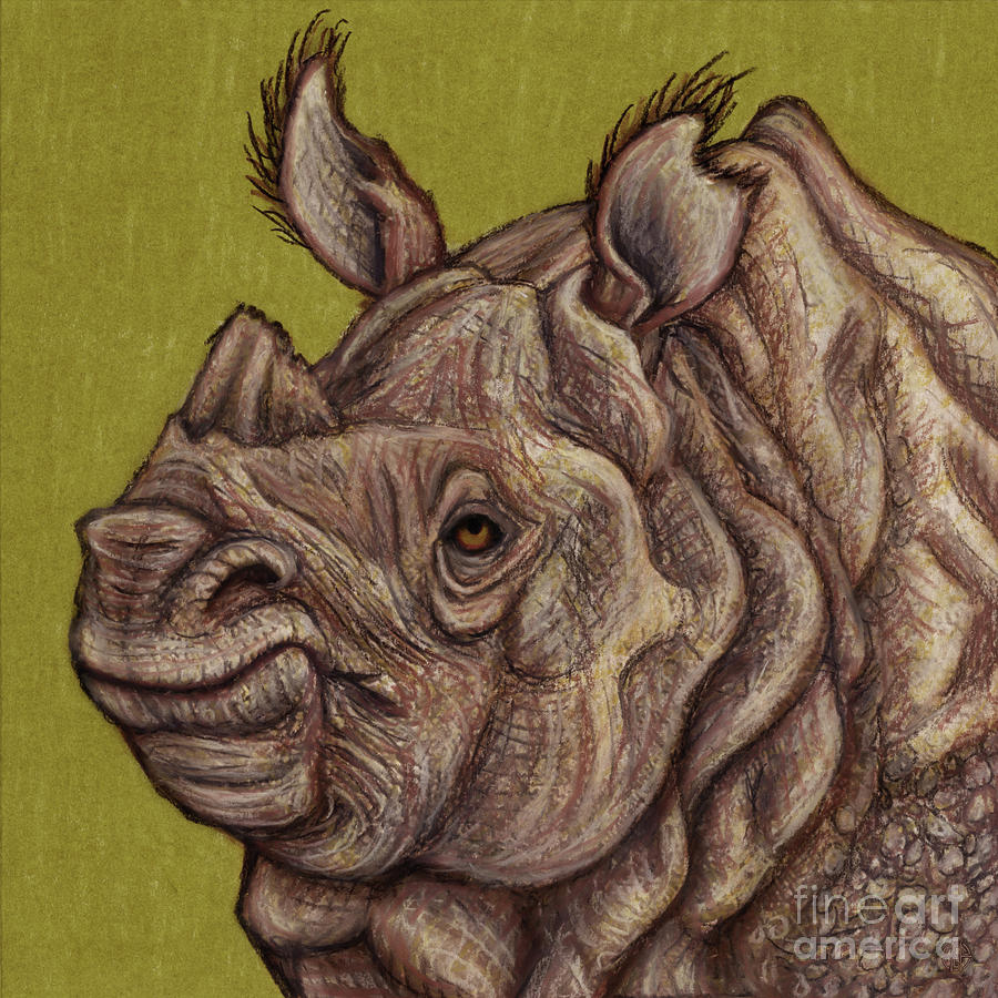Indian Rhinoceros Painting by Amy E Fraser