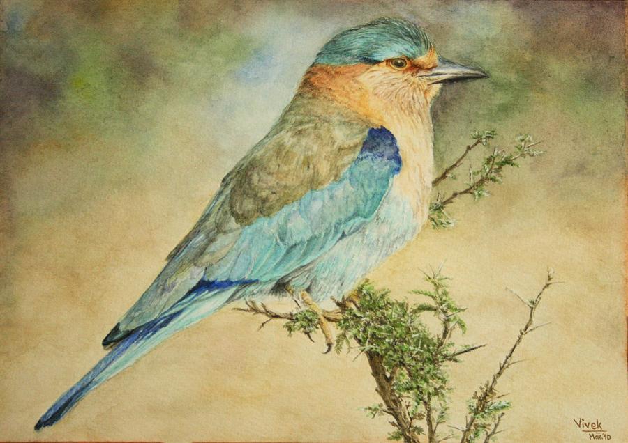 Indian Roller Bird Painting By Vivek Paunikar 