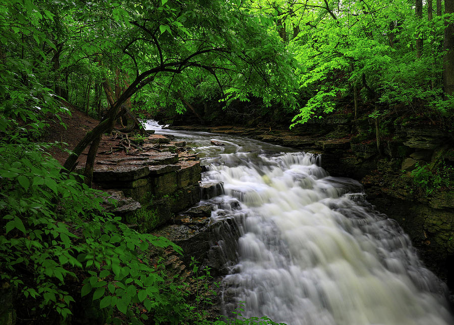 Indian Run Falls Ohio Spring Green Photograph by Dan Sproul