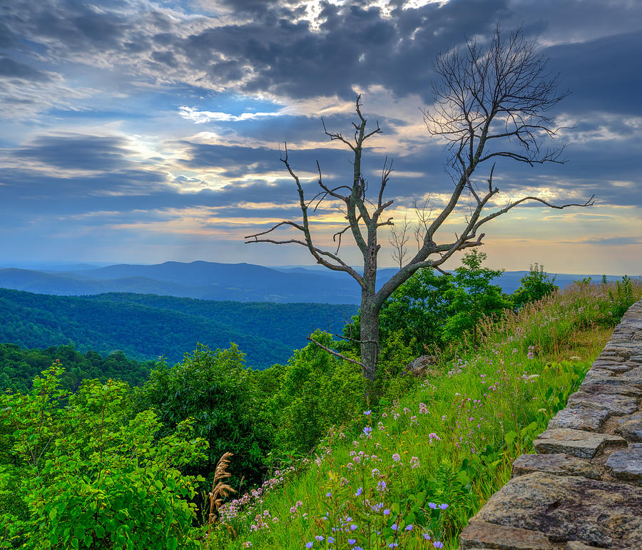Indian Run Overlook Photograph by Dennis Govoni