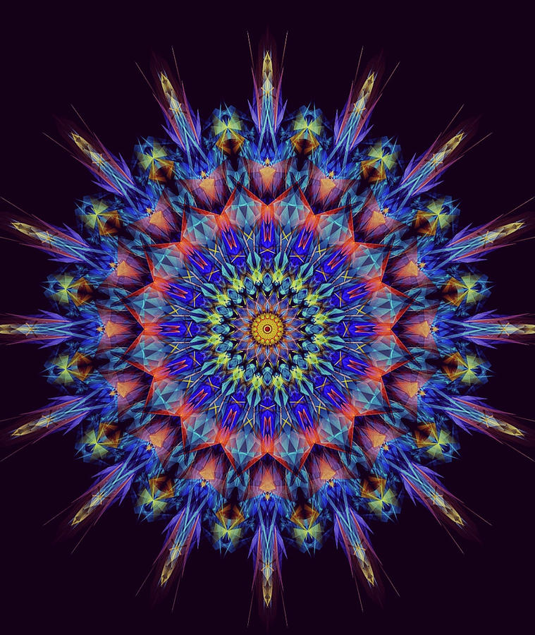 Indian Spirit Mandala Digital Art by Michael Canteen
