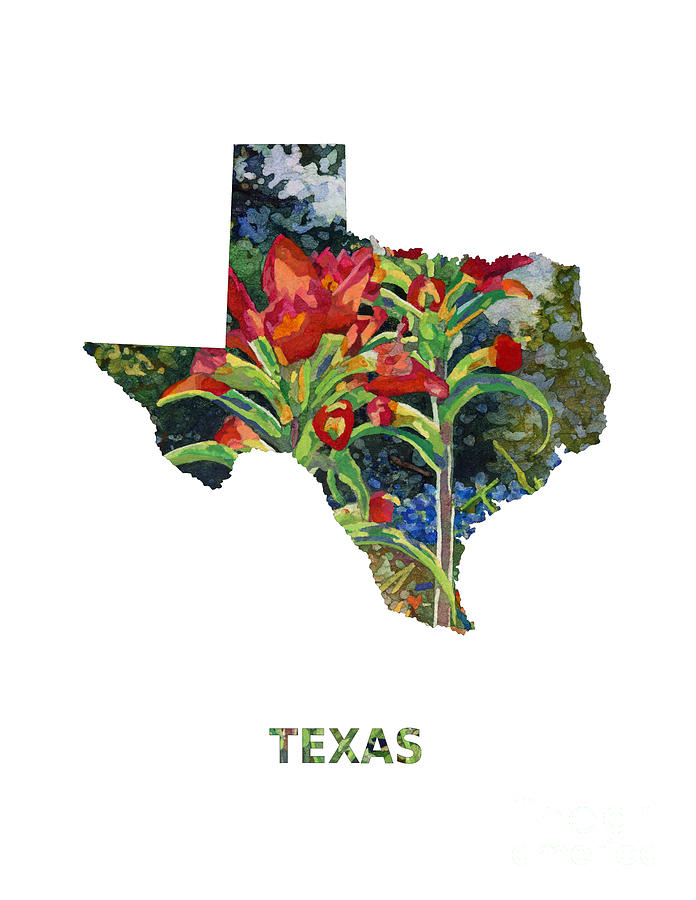 Indian Spring Texas Map 2 Painting