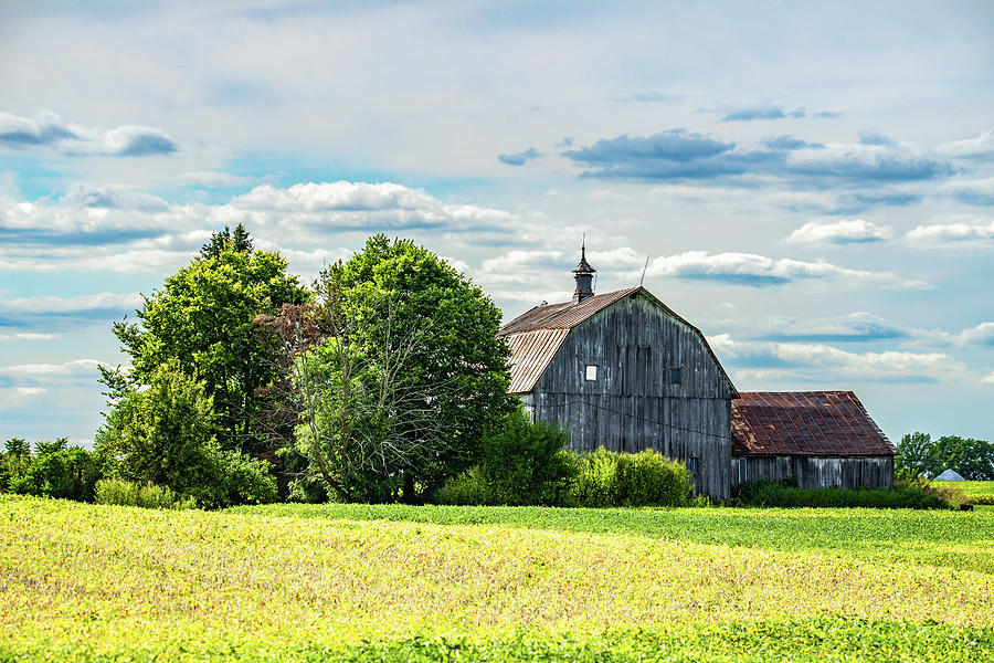 Landscape Photograph - Indiana Barn #128 by Scott Smith Landscape Photograph - Indiana Barn #128 by Scott Smith