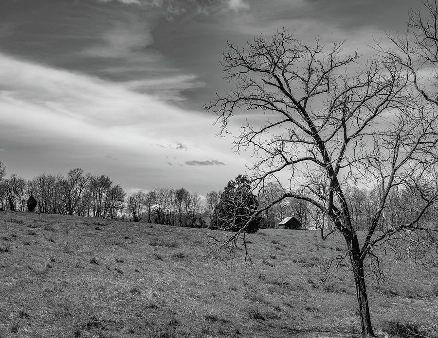 Indiana Barn #291 Photograph by Scott Smith