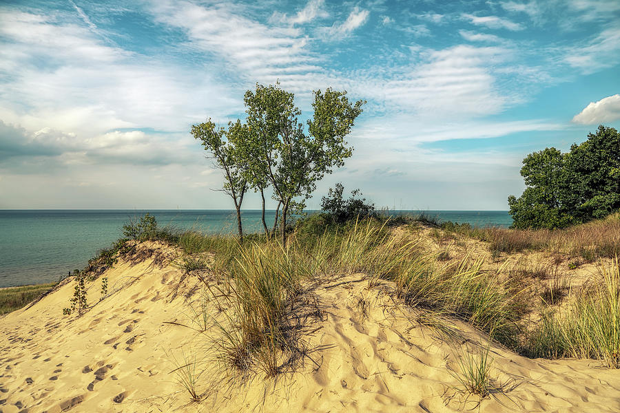 Indiana Dunes State Park Beauty Photograph by Joseph S Giacalone