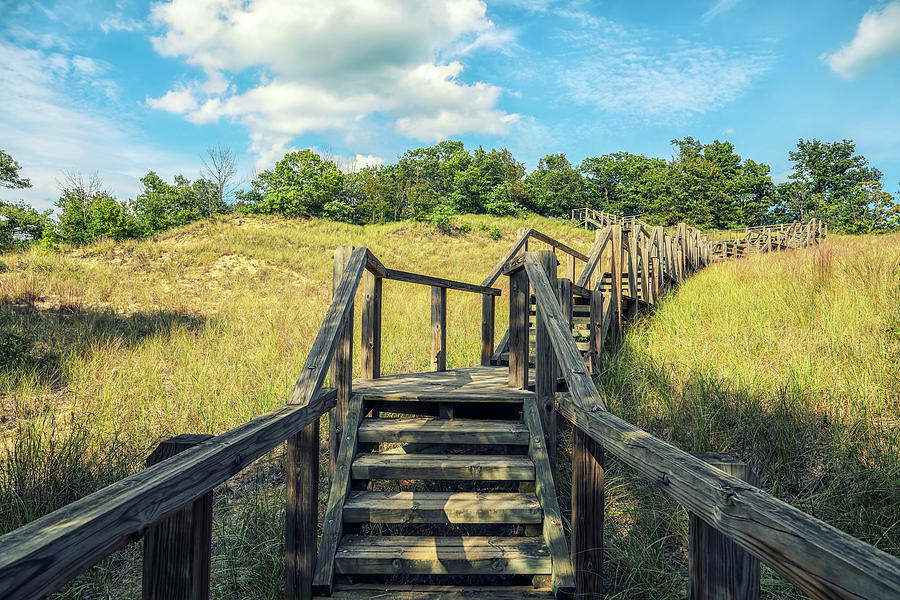 Indiana Dunes State Park Wooden Stairway Photograph by Joseph S Giacalone