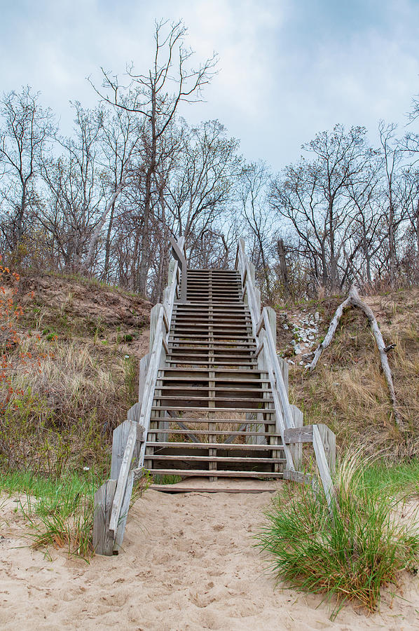 Indiana Dunes Steps Photograph by Kyle Hanson
