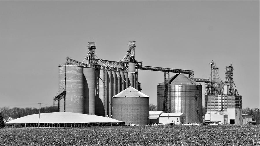 Indiana Grain Photograph by Kurt Keller