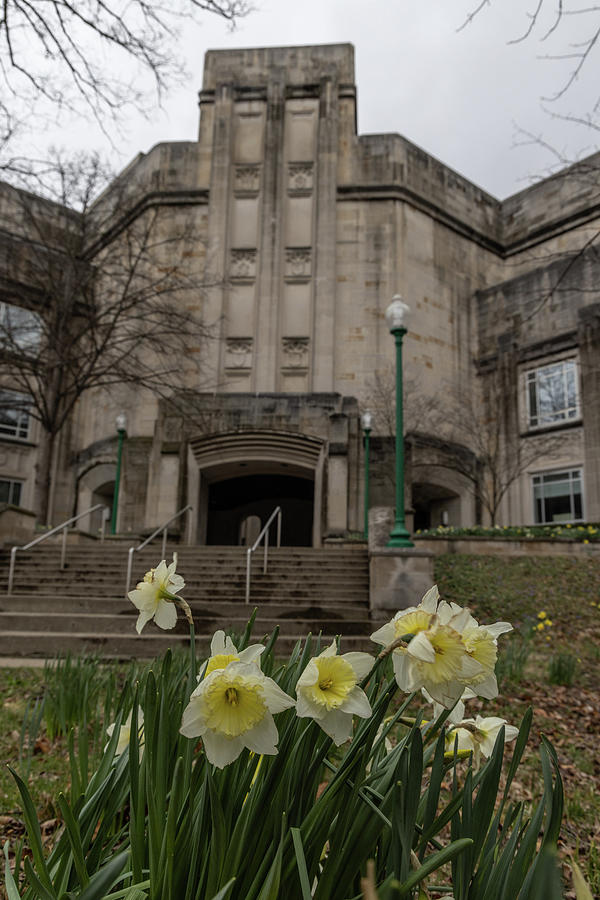 Indiana University with Flowers  Photograph by John McGraw