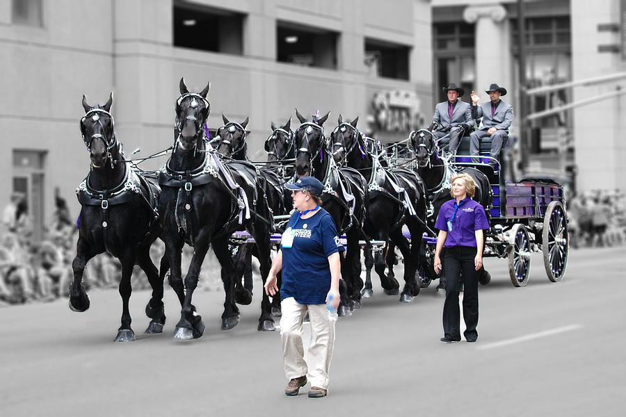 Indianapolis Parade Horsepower Photograph by Rik Carlson