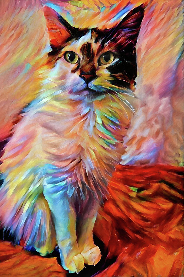 Indie the Bicolor Cat Digital Art by Peggy Collins