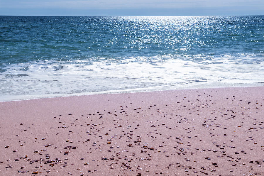 Indigo and Pink - Shells Foam and Ocean Sparkles Photograph by Georgia Mizuleva