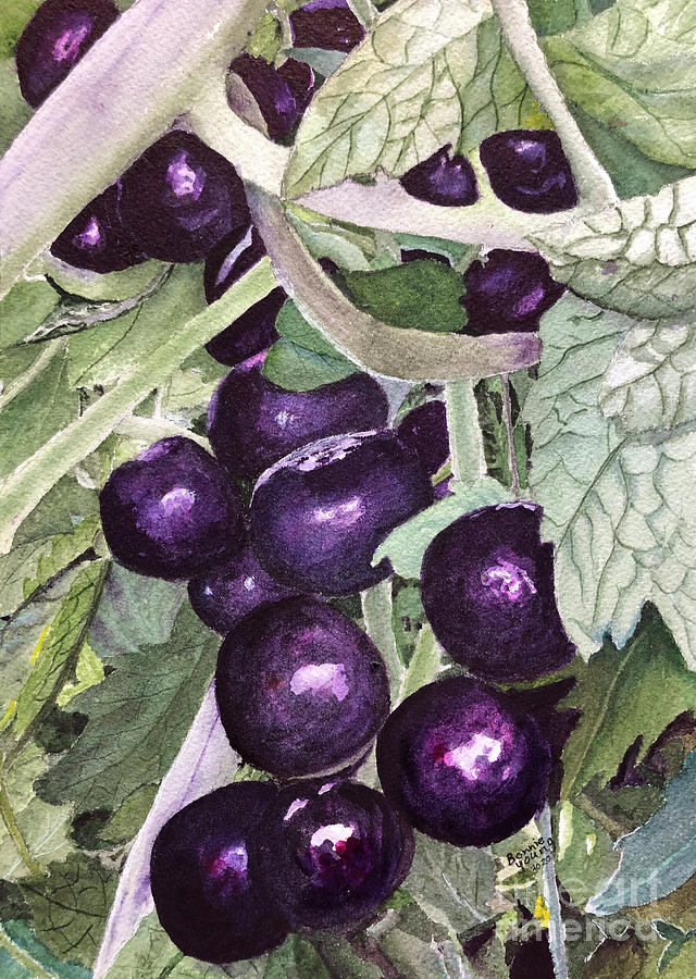 Indigo Blue Berry Tomatoes Painting by Bonnie Young