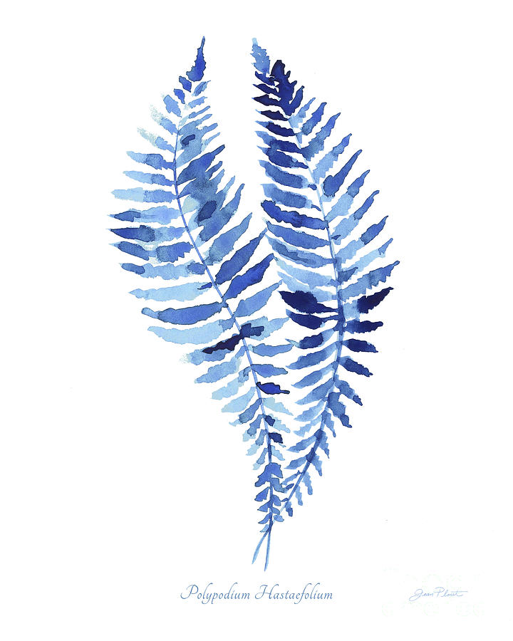 Indigo Botanical 4 Painting by Jean Plout