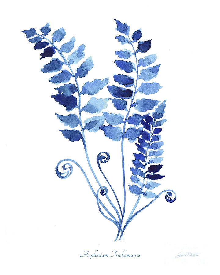 Indigo Botanical 9 Painting by Jean Plout