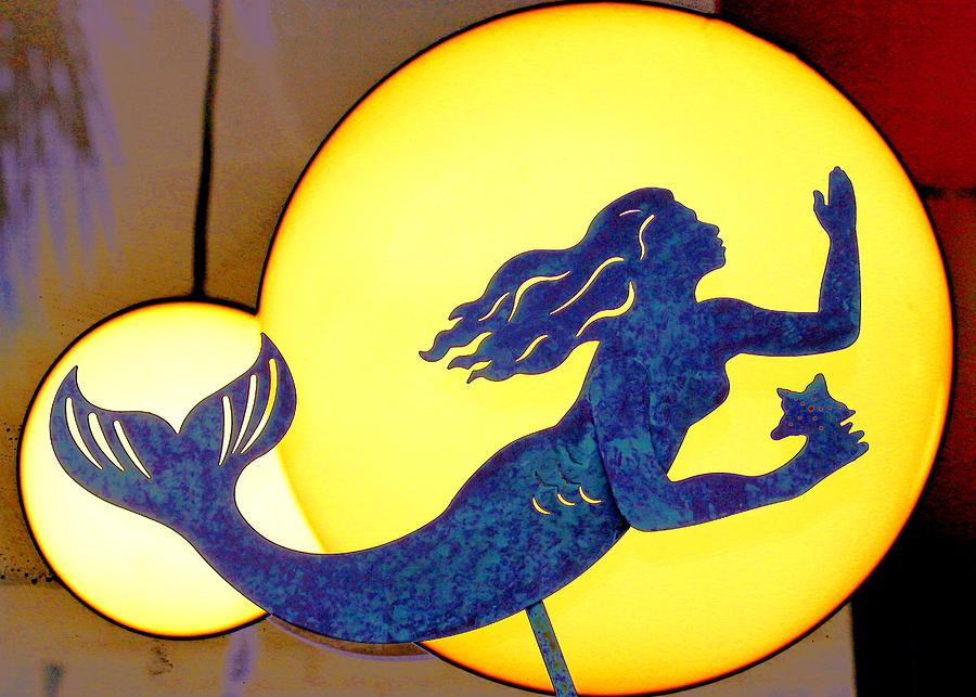 Indigo Mermaid Photograph by Larry Beat