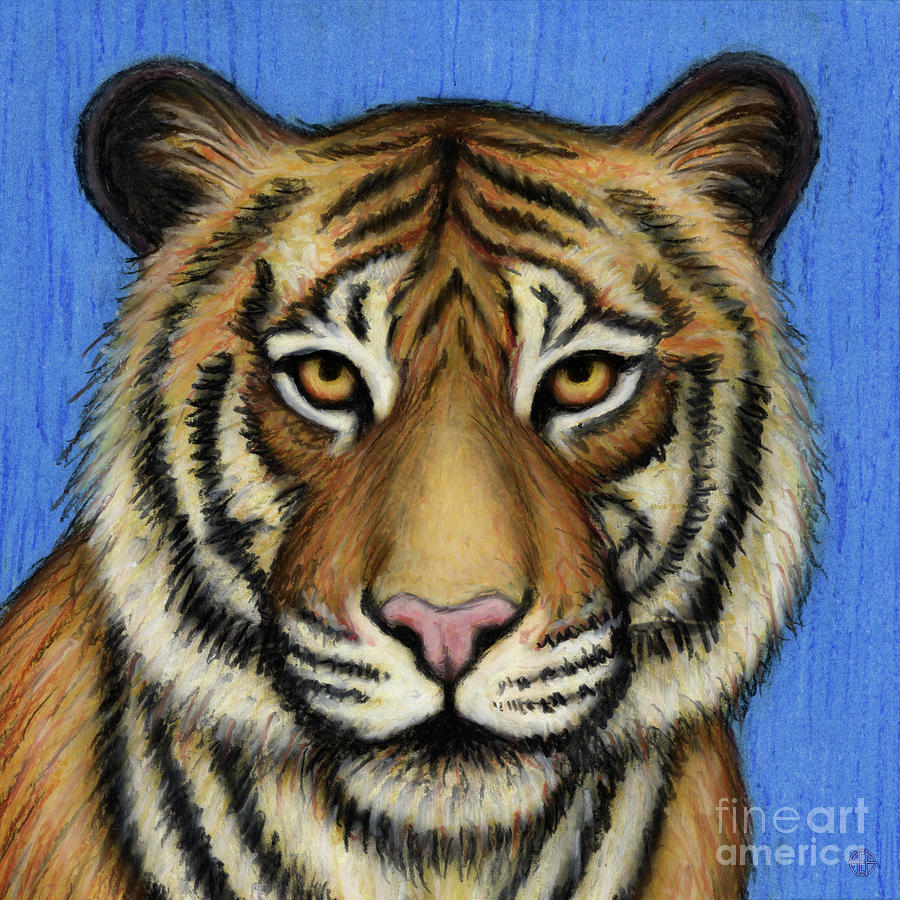 Indochinese Tiger Painting by Amy E Fraser