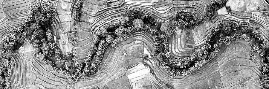 Indonesia rice terraces aerial from above bali black and white Photograph by Sonny Ryse
