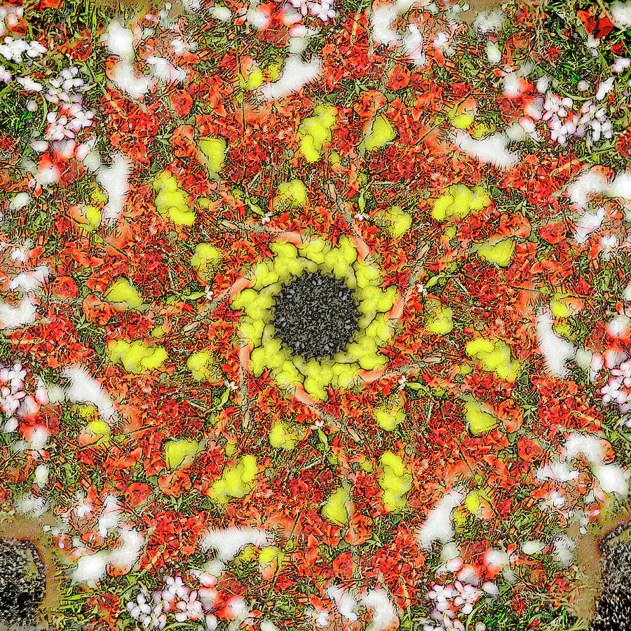 Industrial Poppies Digital Art by Frans Blok