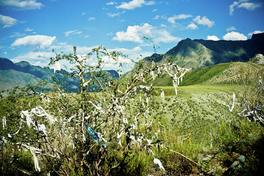 Inegen Altay  Russia Photograph by Eugene Nikiforov