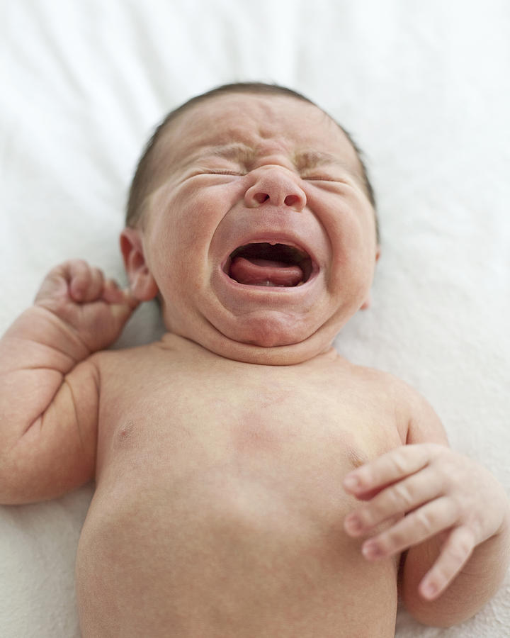 Infant boy crying Photograph by Siri Stafford