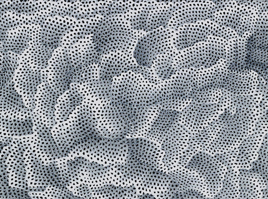 Infinity Nets Grey Painting By Yayoi Kusama Fine Art America