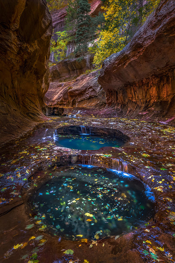 Zion National Park Photograph - Infinity by Ryan Smith