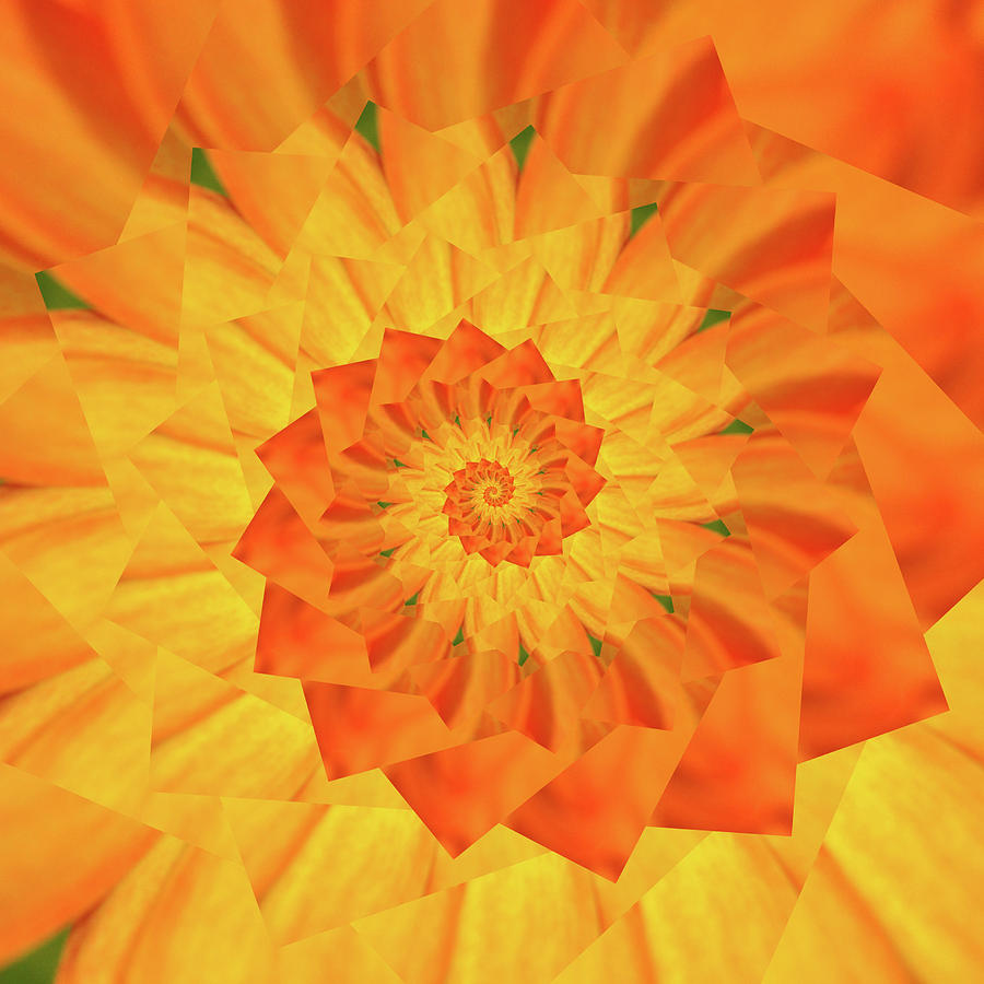 Infinity Tunnel Spiral Sunflower Digital Art by Pelo Blanco Photo