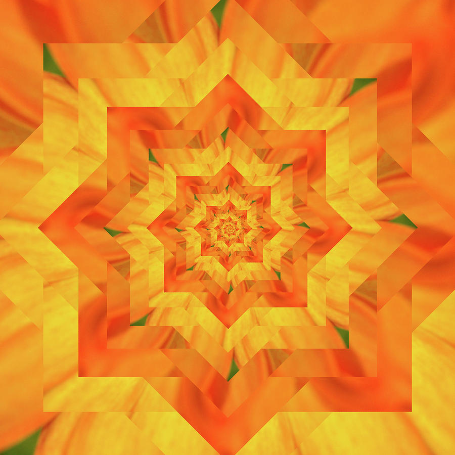 Infinity Tunnel Star Sunflower Digital Art