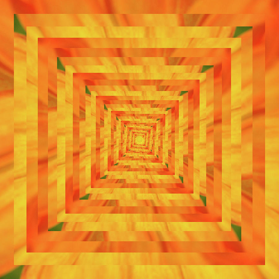 Infinity Tunnel Sunflower 3 Digital Art