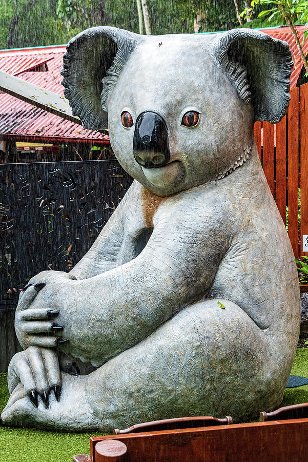 Inflatable Koala Bear Photograph by Jon Berghoff