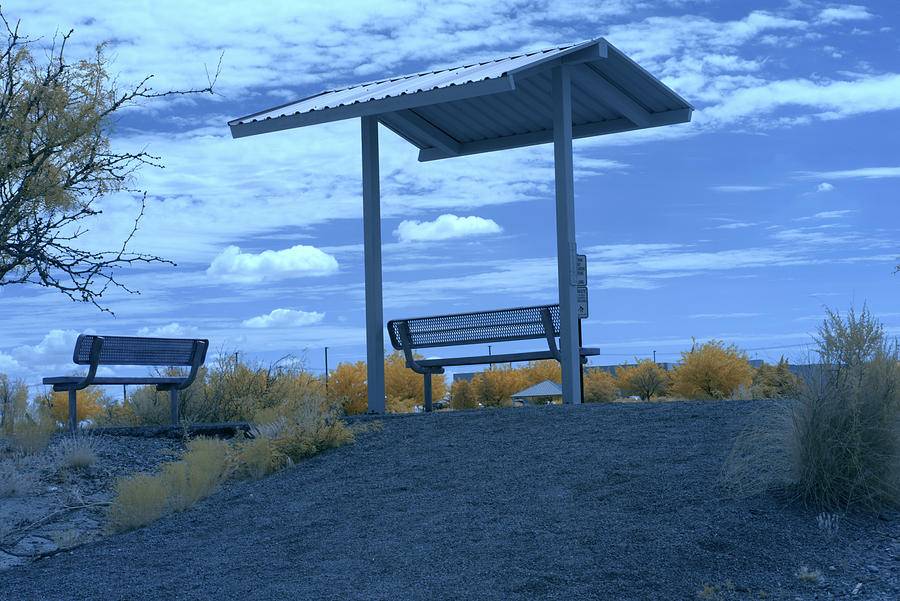 Infrared at Deming, New Mexico pit park. Photograph by Mike Helfrich