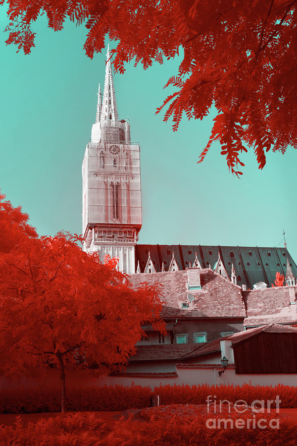 Infrared Cathedral  Photograph by Lidija Ivanek - SiLa